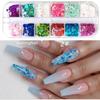 Novas Lantejoulas Finas de Borboleta para Nail Art Lantejoulas para Maquiagem dos Olhos Lantejoulas de Celebridade Cyber Conjunto de 12 Cores Glitter Colorido Pó Glitter