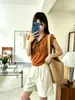 Camiseta de Tricô Gola V Manga Curta Shisanxing Guangzhou a Pronta Entrega para Mulheres, Estilo Fino de Verão, Top Bordado Sem Manga Estilo Coreano, Versátil