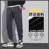 Estilo Japonés Simple Nuevo Ins Popular Pantalones Casuales para Hombre Marca de Moda Pierna Ancha Pantalones Harlan Tendencia Artística Perezoso