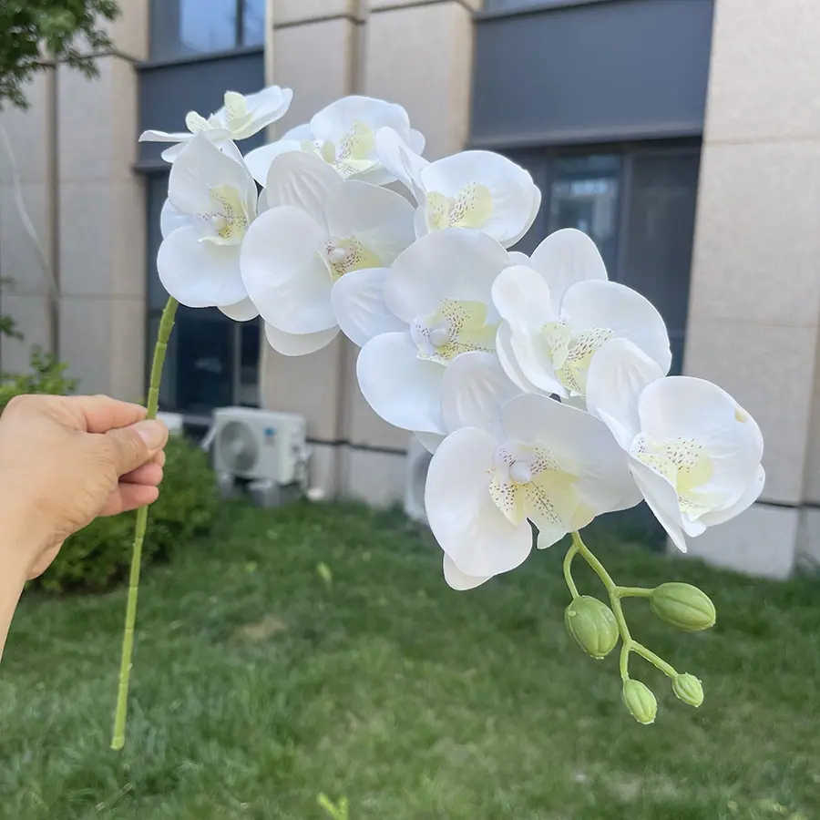 9头短杆3D打印蝴蝶兰-xlmwdx-白色.JPG