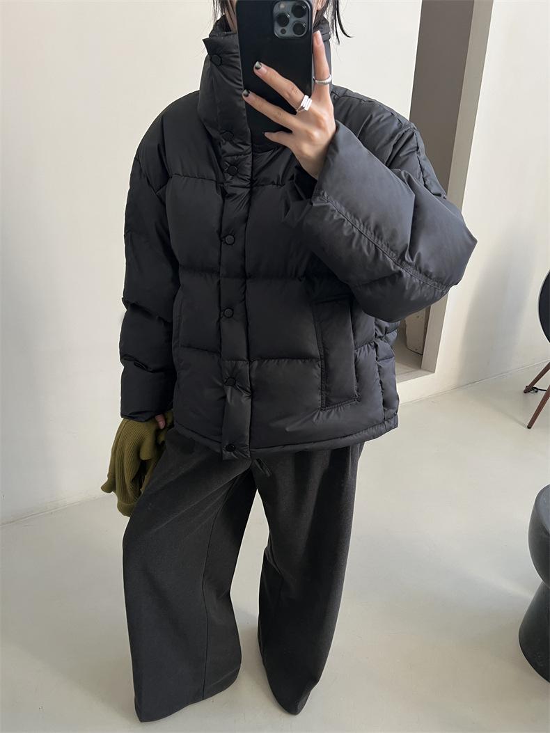 2024-11-26 150048.jpg