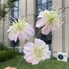 Flor Artificial Lover Nebuloso de Pétalas Dobráveis de 3 Cabeças, Flor Falsa de Grama Preta para Decoração de Casamento e Casa, Atacado