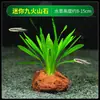 Grama-centopeia, Aguapé, Plantas Aquáticas de Fácil Cuidado, Paisagismo de Aquário, Pacote de Substrato, Plantas Naturais que Gostam de Sombra
