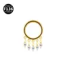 Anillo de Nariz de Luna Estrella Flecha Ojo de Caballo Anillo Cerrado Pendientes Clavo de Hueso de Oreja Joyería para Piercing de Titanio F136