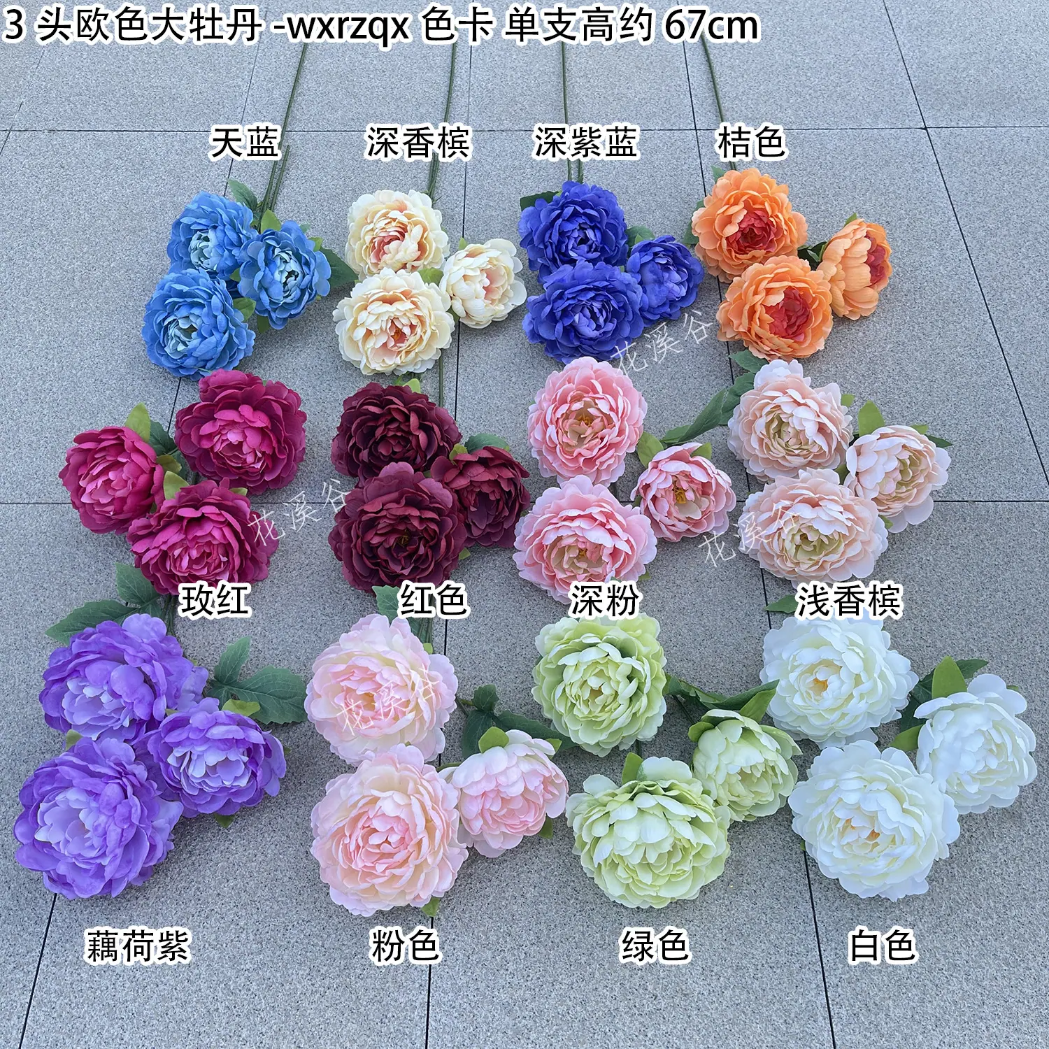 3头欧色大牡丹-wxrzqx 色卡 花溪谷.jpg
