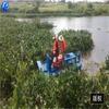 Barco triturador de jacinto de agua para rescate Limpieza de plantas de río Barco para hierba rota Barco triturador de maleza acuática en stock