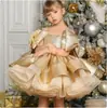Novo Vestido de Cetim Dourado para Bebê de Um Ano, Vestido Estiloso de Princesa para Menina, Vestido de Anfitriã para Festa de Aniversário