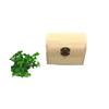 Caja de Joyería de Madera Hecha a Mano para Niños DIY Color Nieve Barro Perla Barro Color Arcilla Caja de Almacenamiento Accesorios de Joyería Pino