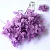 Flores Secas e Frutas Secas Material DIY Pinhas de Algodão Canela Limão Adereços de Tiro Jardim de Infância Pacote de Material Artesanal DIY