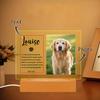 Etsy Más Vendido Retrato de Mascota Placa Conmemorativa Amazon Adornos Decorativos Huella de Pata de Perro Luz Nocturna Regalo Amantes de los Animales
