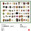 Paquete de Materiales para Creación de Entorno de Jardín de Infancia de Bellota de Fruta Piña Accesorios para Sesión de Fotos Decoración de Fruta Hecha a Mano DIY