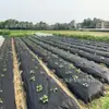 Tela anti-hierbas no tejida permeable transpirable degradable tela para deshierbar jardín de té tela anti-hierbas no tejida agrícola