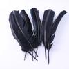 Directo de fábrica pavo nido pluma pluma al por mayor pluma de ave calamo artesanías de arco y flecha decoración materiales hechos a mano DIY