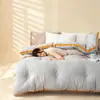 10A Antibacteriano Pequeño Volcán Relleno de Soja Tridimensional Núcleo de Colcha Cálida Primavera/Otoño Colcha Invierno Colcha Estudiante Dormitorio Cuatro Estaciones Colcha
