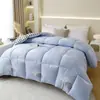 Atacado do Fabricante Colcha Grossa Quente de Inverno para Dormitório de Estudante Solteiro, Núcleo de Colcha Dupla, Roupa de Cama, Colcha de Penas e Seda para Quatro Estações