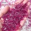 Resina acrílica color transparente tamaño pequeño forma plana broca para uñas color mezclado espíritu cálido aurora champán adornos para uñas