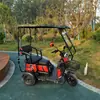 Toldo para Triciclo Eléctrico, Toldo Engrosado, Triciclo Tipo Mini-Bus de Ocio, Toldo Transparente para Lluvia, Toldo Totalmente Cerrado para Lluvia para Personas Mayores