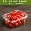 Caja de Embalaje Desechable para Frutas Caja de Plástico Transparente Caja de Embalaje para Fresas de 0.5 kg Rectangular con Tapa 500 g