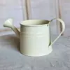 Nuevo Estilo Día del Maestro Creativo Regadera Decorativa Maceta Florero Botella de Flores Decoración Floral Obra de Arte Floral Plantación Verde Maceta de Hierro Balcón