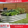Cama de Jardín Caja Metálica para Plantar, Caja Móvil para Verduras, Macetero, Balcón Exterior, Patio, Caja para Plantar en Azotea