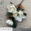Três grandes magnólias EVA orquídea de mão comércio exterior transfronteiriço atacado flor artificial tema atividade cena layout flor de seda