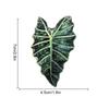 Tyct003 Patrón de Hoja de Planta Verde Transfronterizo Imán para Refrigerador Acrílico Decorativo Imán Decorativo