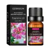 Aceite de Masaje de Aceite Vegetal de Fuente Local Aceite Esencial Suave e Hidratante Superventas Transfronterizo Aceite de Masaje Corporal 10ml