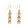 Europa e Estados Unidos transfronteiriços joias ocas de ouro 18K brincos jhumka femininos brincos brincos gaiola de pássaro