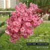 Galhos Artificiais para Decoração de Casamento, Árvores de Pera e Flor de Pessegueiro, Trepadeiras de Flores Artificiais de Plástico, Decoração de Teto, Flores de Seda para Decoração de Chão de Sala de Estar Interna