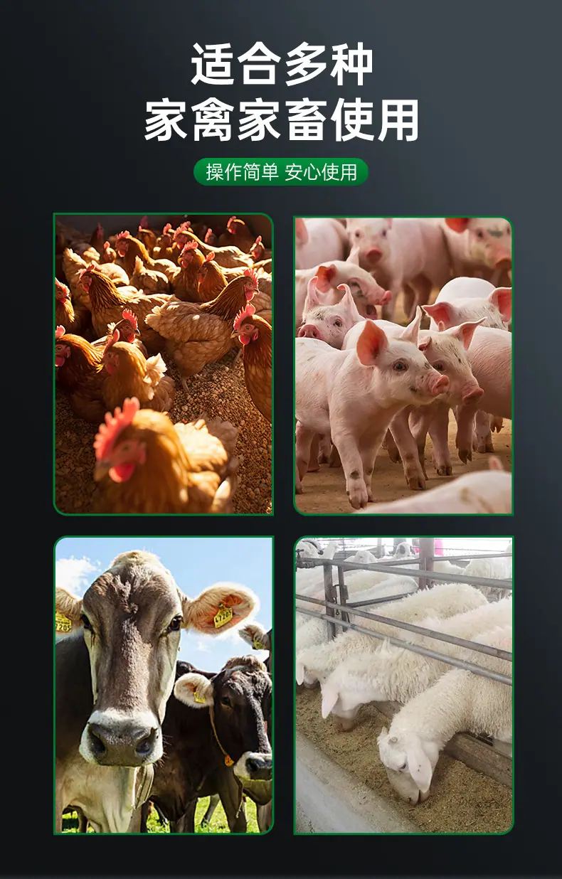 详情_03.jpg