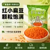 Lentejas Rojas, Productos Frescos de Granja, Lentejas Rojas Pequeñas, Grano Entero, Redondas, Venta al por Mayor y al por Menor, Disponible Dropshipping
