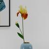 Imitação de Flor Alice Iris Flor de Duas Cabeças Sala de Estar Decoração de Quarto Floricultura Vitrine Arranjo de Paisagem Flor Falsa Flor de Seda
