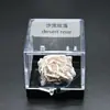 Cristal Natural Minério Rocha Pedra Bruta Cristal Mineral Ornamentos Presente de Ensino de Ciências para Crianças Coleção de Espécimes de Minério