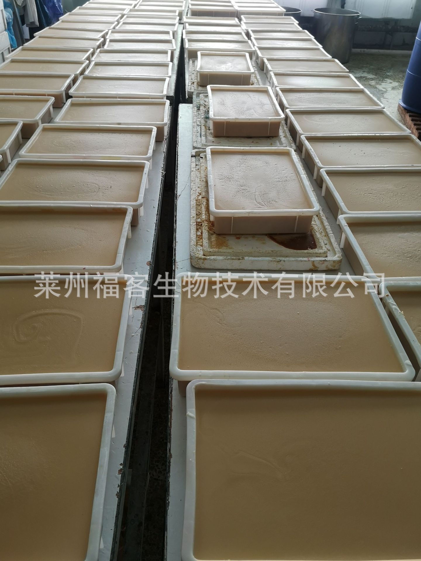 微信图片_20210111213612