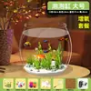 Acuario Pequeño de Oficina, Tanque Transparente Engrosado para Tortugas, Tanque Redondo de Paisajismo Pequeño para Peces Dorados para Escritorio de Sala de Estar en Casa