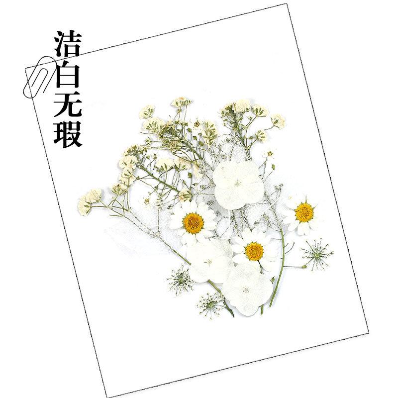 干花材料包-洁白无瑕.jpg