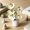 Nuevo Estilo Planta en Maceta de Orquídea Phalaenopsis de 5 Flores Decoración para el Hogar Flor Artificial Bonsái Decoración de Escritorio Flor Artificial Planta Verde Adorno