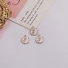 Colgante Pequeño Oval Irregular de Aleación de Rosa Phnom Penh DIY Hecho a Mano Pulsera Collar Colgante Accesorios de Joyería