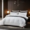 Ropa de cama de hotel de primera calidad, edredón espacial de fibra conductora antiestática súper suave nano, núcleo de edredón de algodón para hotel y casa de huéspedes