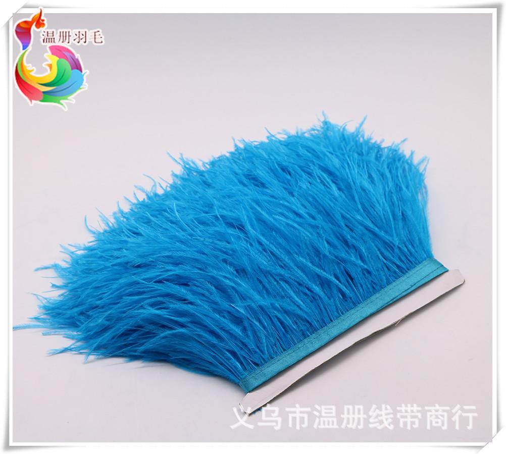 6 lake blue ostrich feather fr