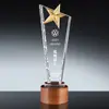 Novo troféu de cristal em forma de estrela de cinco pontas personalizado para funcionários de destaque, novos membros da equipe, fornecedores, parceiros e o trabalhador do ano.