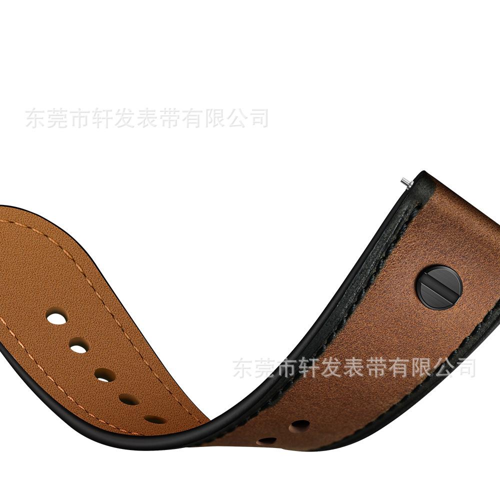 红棕疯马 (8).jpg