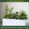 Caja de flores decoración flores y plantas arreglo floral producto terminado adorno de planta verde venta de restaurante oficina mampara canaleta de flores paisajismo biónico