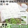 Manta de protección contra heladas, transpirable y translúcida, de tejido no tejido spunbond, para protección de plantas agrícolas y hortícolas transfronteriza