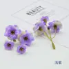 Fio de Flores Rosa para Simulação Tamanho Médio Decoração de Casa Adereços de Fotografia Itens de Arranjo para Exibição Acessórios para Fazer Adereços de Cabeça Étnicos Flor de Seda