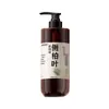 Champú de Hoja de Platycladus Oem Anticaspa, Antirritación, Suavizante con Polygonum Multiflorum para Mejorar la Caída del Cabello Procesamiento Oem