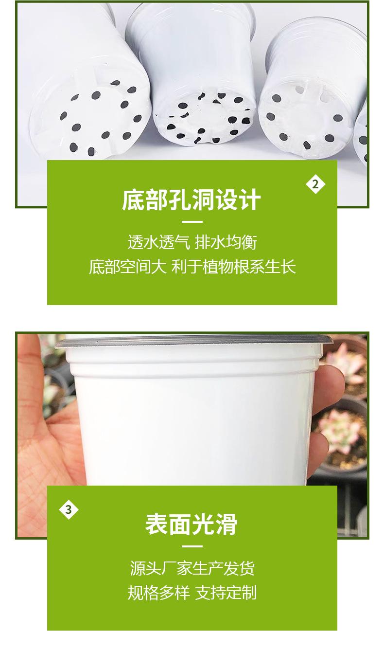 详情_05.jpg