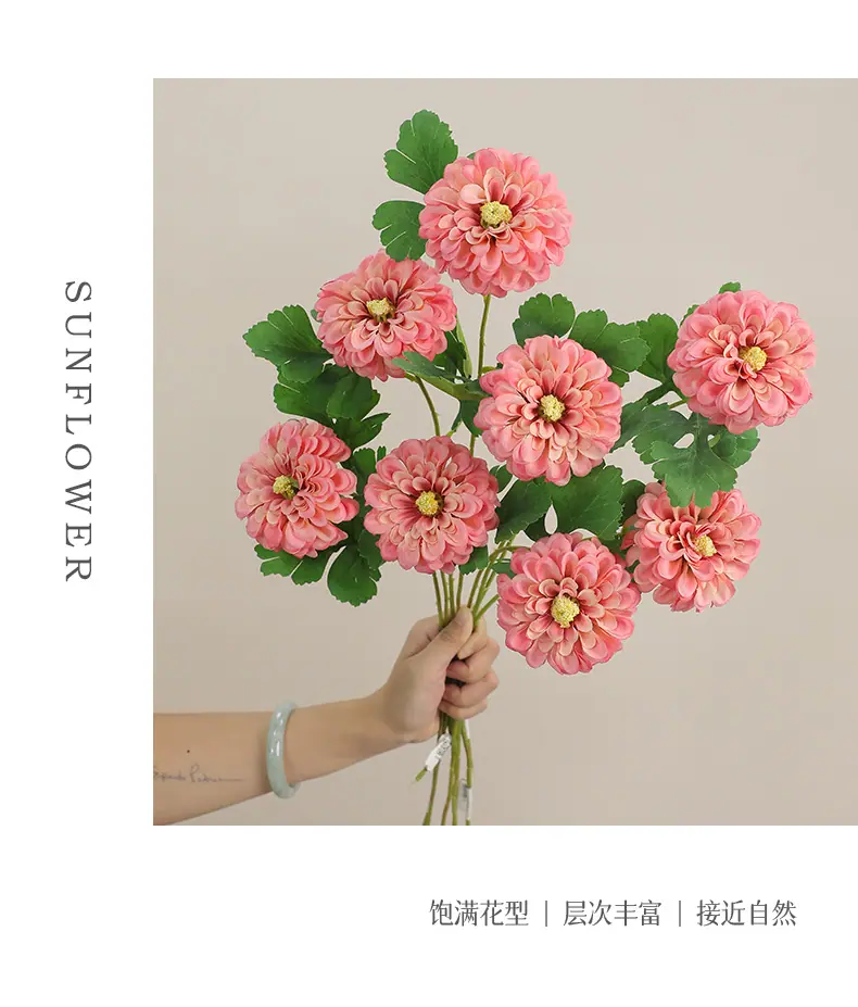 言且单头金盏菊_06.jpg