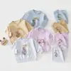 Conjunto casual de sudadera para bebé para otoño e invierno, conjunto de dos piezas para bebés e infantes, conjunto deportivo de primavera para niños y niñas, prenda exterior superior y pantalón deportivo