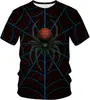Camiseta de Hombre con Estampado de Araña Transfronteriza de Amazon Ropa Verano Manga Corta Holgada Cuello Redondo Camiseta de Hombre Araña Ropa